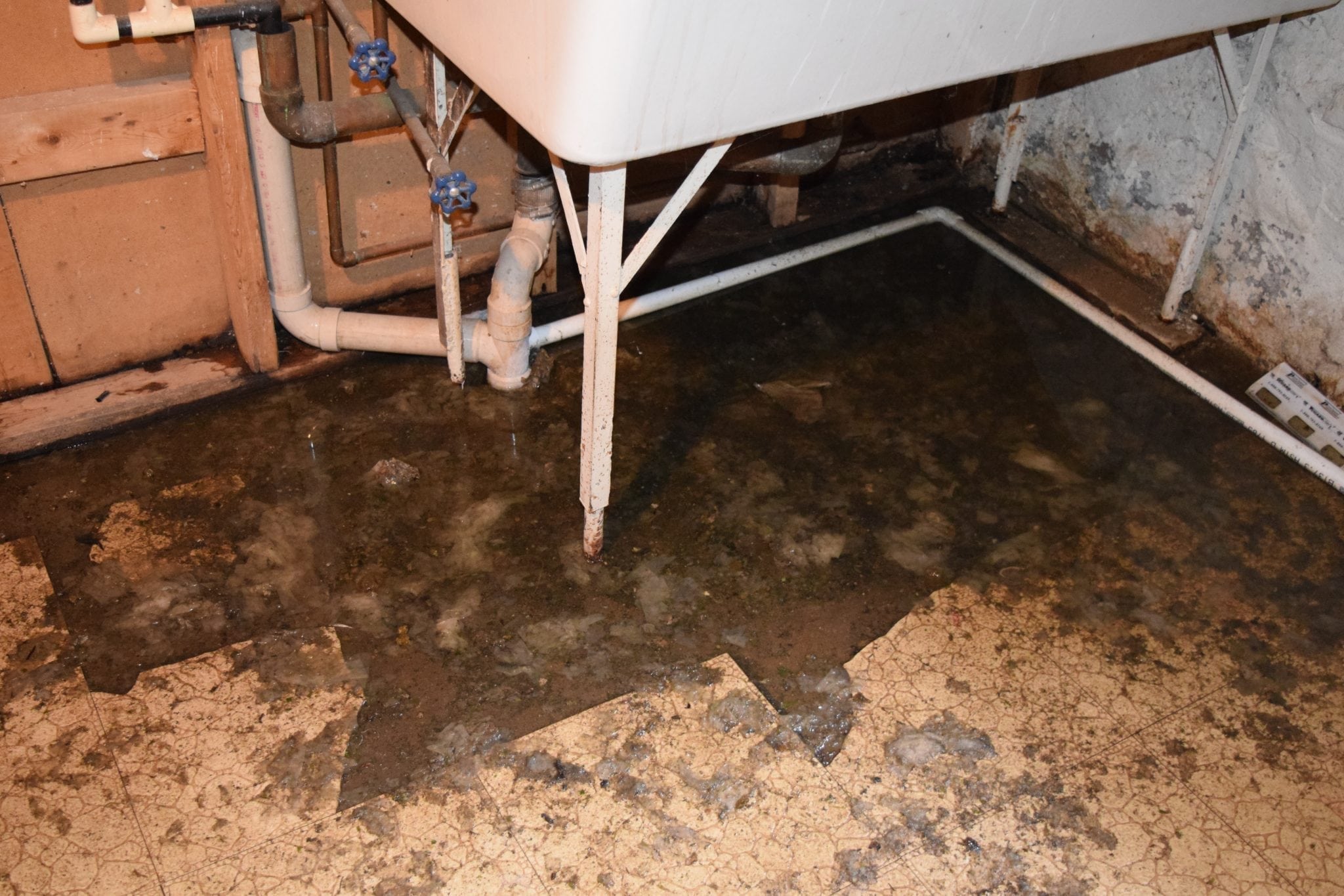 sewage backup in kitchen sink