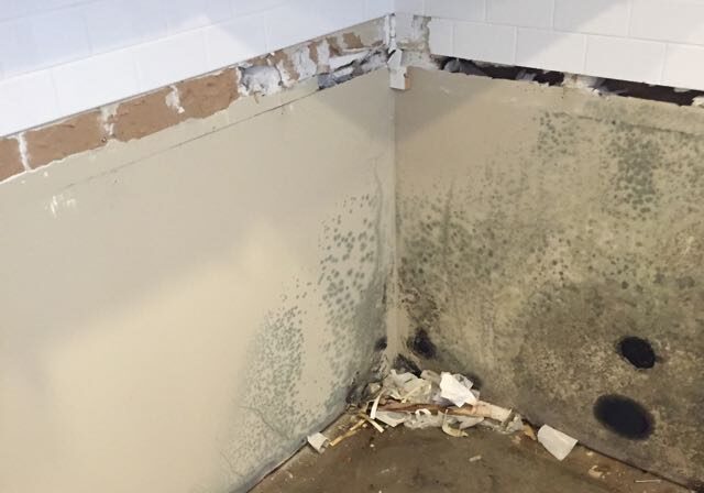 mold inspection at a property in Dublin, Ohio
